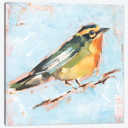 Bird Variety IV Canvas Print #EHA1019} by Ethan Harper Canvas Print