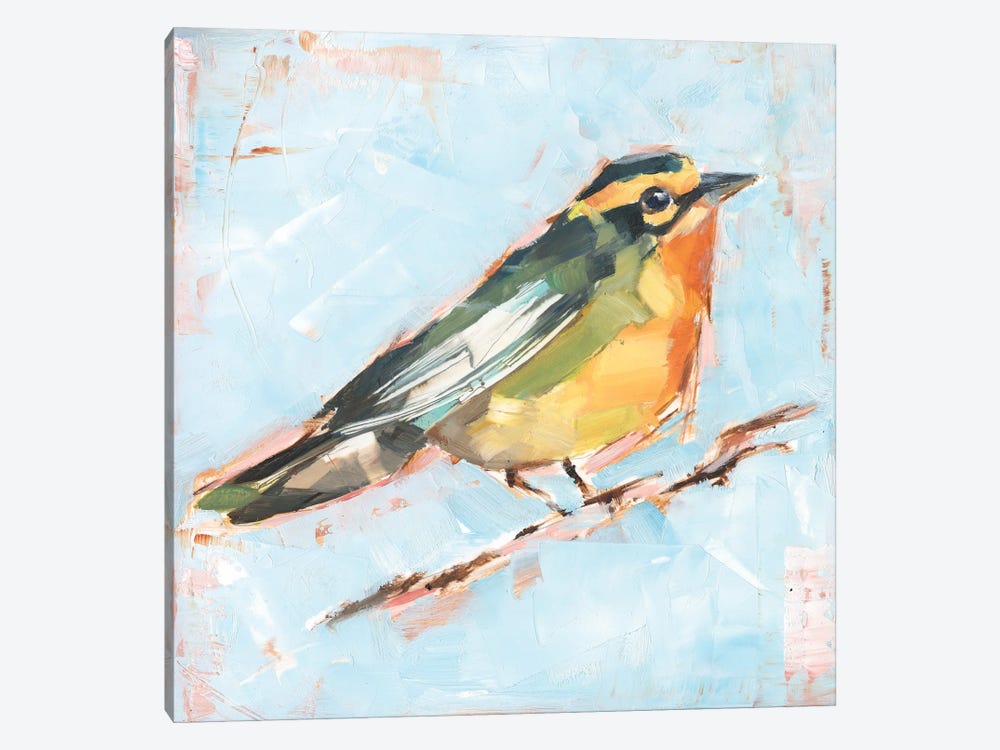 Bird Variety IV by Ethan Harper 1-piece Canvas Art