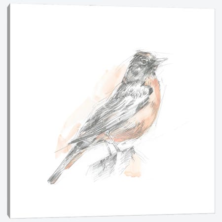 Robin Bird Sketch I Canvas Print #EHA1047} by Ethan Harper Canvas Print