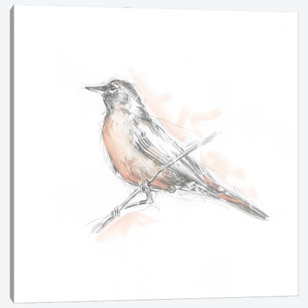 Robin Bird Sketch II Canvas Print #EHA1048} by Ethan Harper Canvas Artwork