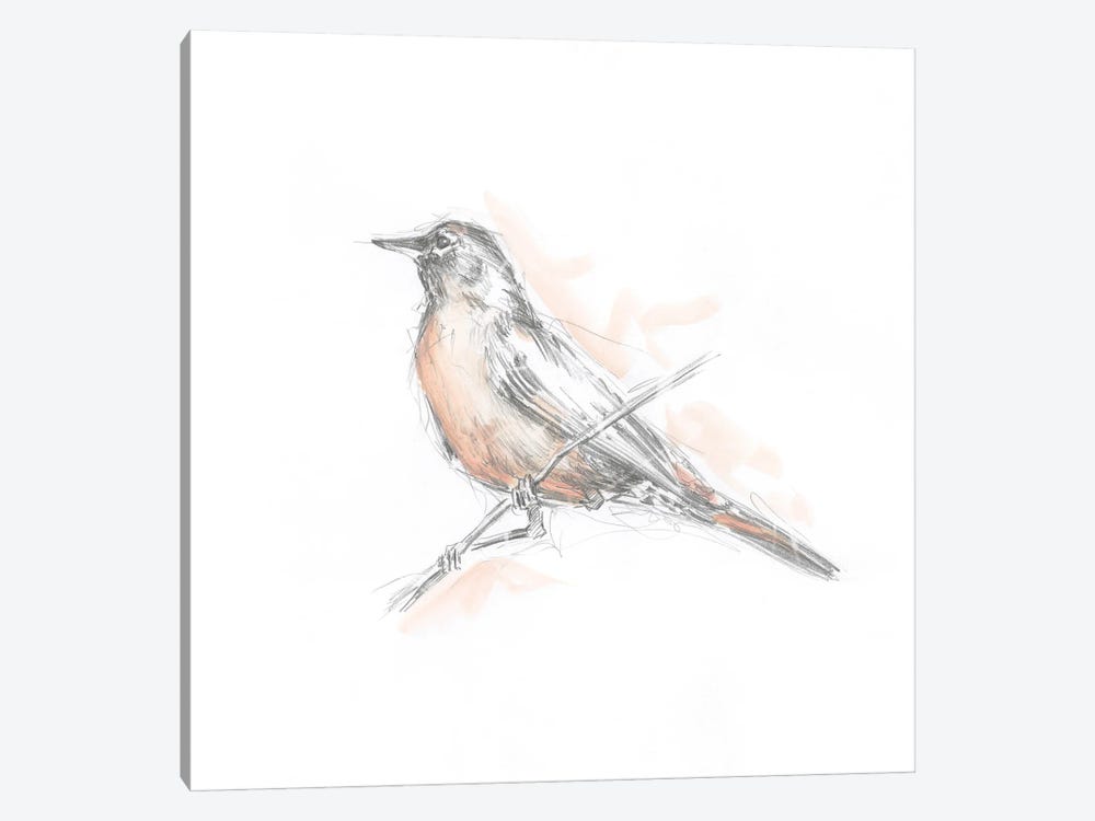 Robin Bird Sketch II by Ethan Harper 1-piece Canvas Artwork