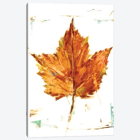 Autumn Leaf Study I Canvas Print #EHA1067} by Ethan Harper Canvas Print