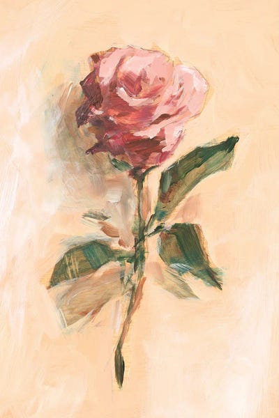 Painterly Rose Study II by Ethan Harper art print