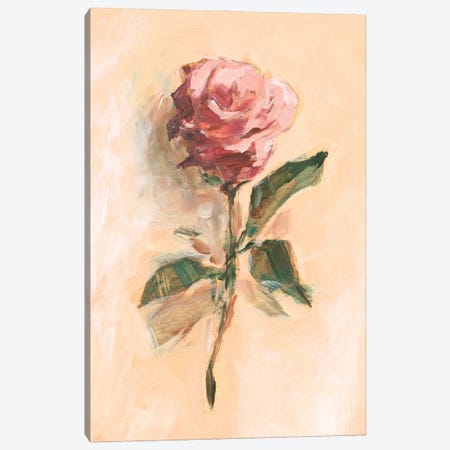 Painterly Rose Study II Canvas Print #EHA1077} by Ethan Harper Canvas Art