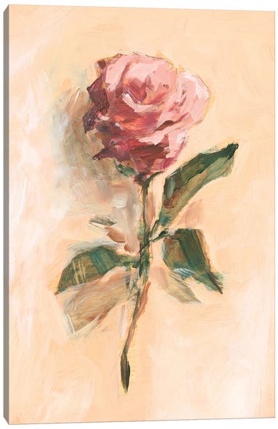 Painterly Rose Study II Canvas Art Print - Ethan Harper