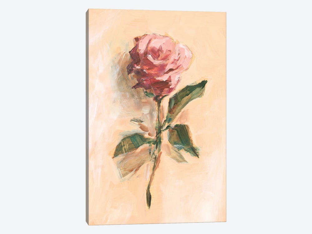 Painterly Rose Study II by Ethan Harper 1-piece Canvas Wall Art