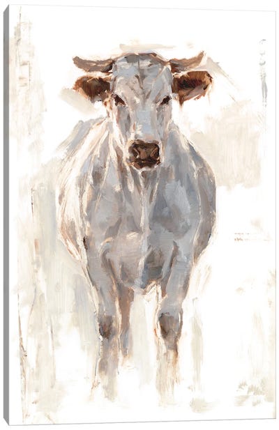Sunlit Cows I Canvas Art Print - Ethan Harper
