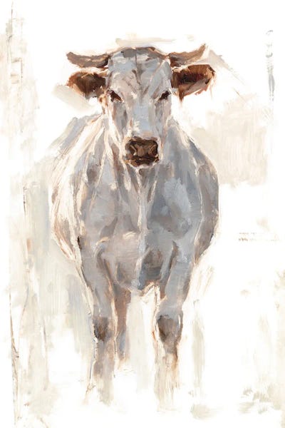 Sunlit Cows I