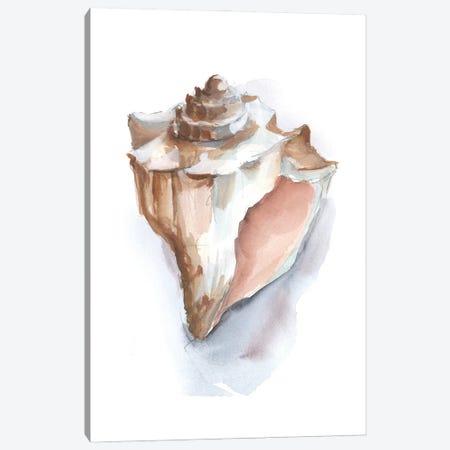 Pastel Shell Collection I Canvas Print #EHA1102} by Ethan Harper Canvas Print