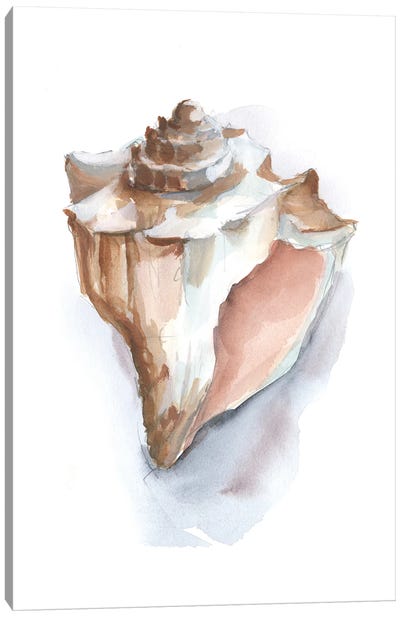Pastel Shell Collection I Canvas Art Print - Ethan Harper
