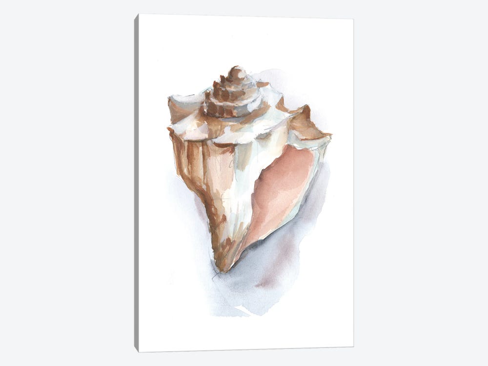 Pastel Shell Collection I by Ethan Harper 1-piece Canvas Print