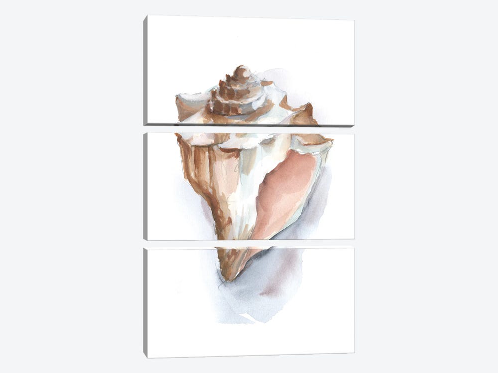 Pastel Shell Collection I by Ethan Harper 3-piece Art Print