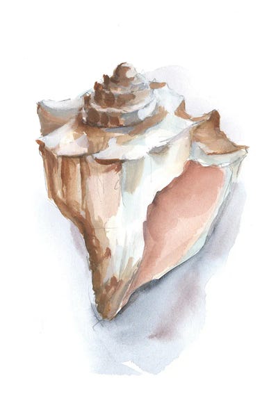 Sea Shells: Pastel Shell Collection I by Ethan Harper