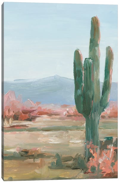 Saguaro Cactus Study II Canvas Art Print - Abstract Floral & Botanical Art