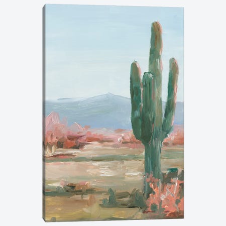 Saguaro Cactus Study II Canvas Print #EHA1107} by Ethan Harper Canvas Artwork