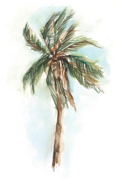 Watercolor Palm Study I