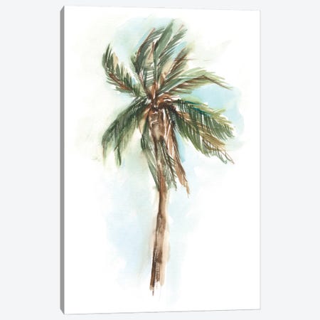 Watercolor Palm Study I Canvas Print #EHA1114} by Ethan Harper Art Print