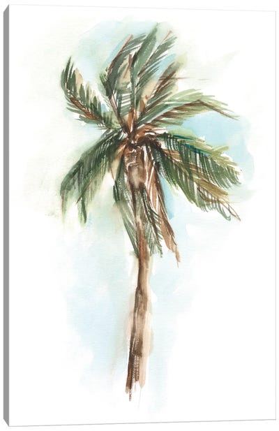 Watercolor Palm Study I Canvas Art Print - Ethan Harper