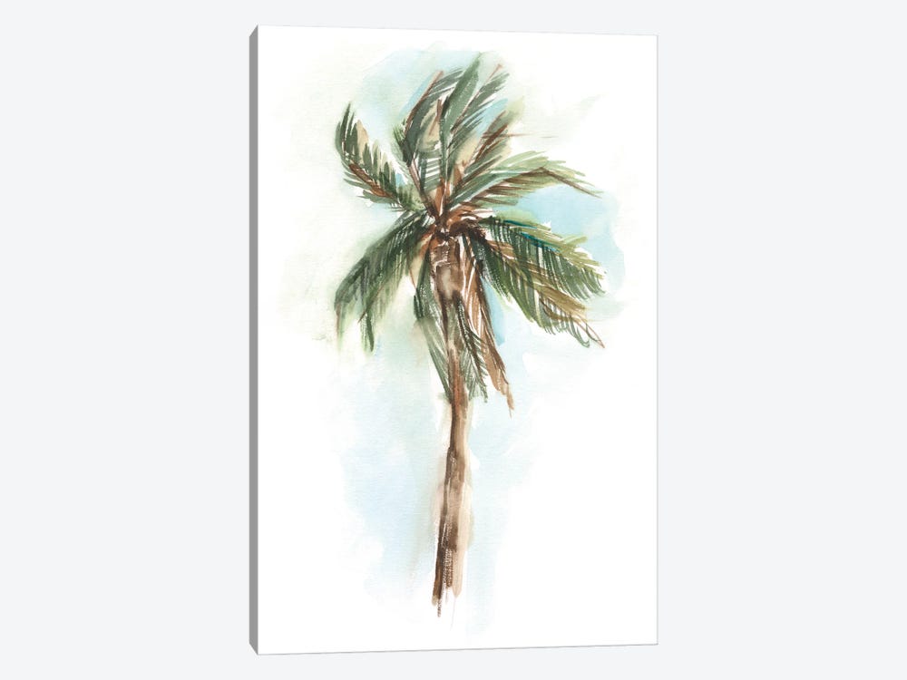 Watercolor Palm Study I by Ethan Harper 1-piece Canvas Art