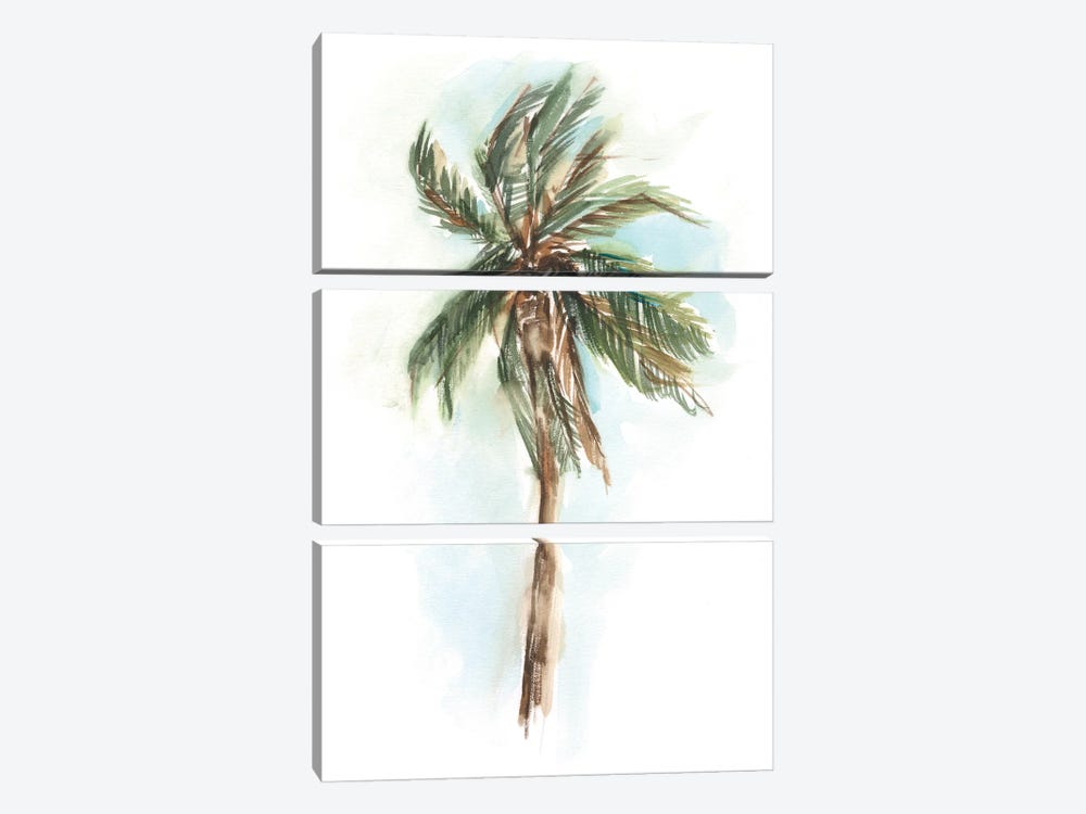 Watercolor Palm Study I by Ethan Harper 3-piece Canvas Artwork