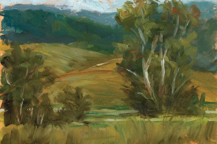 Changing Sunlight IV by Ethan Harper wall art