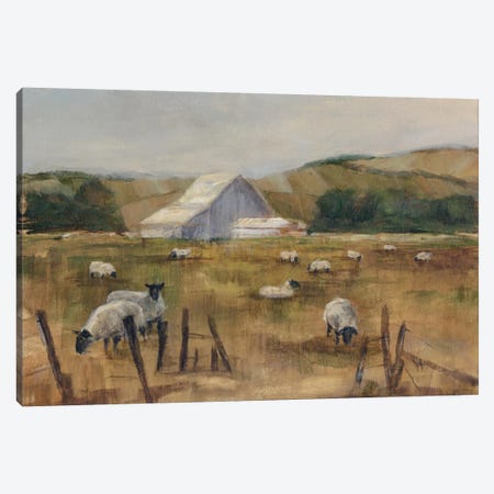 Grazing Sheep I Canvas Print #EHA119} by Ethan Harper Canvas Art