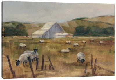 Grazing Sheep I Canvas Art Print - Country