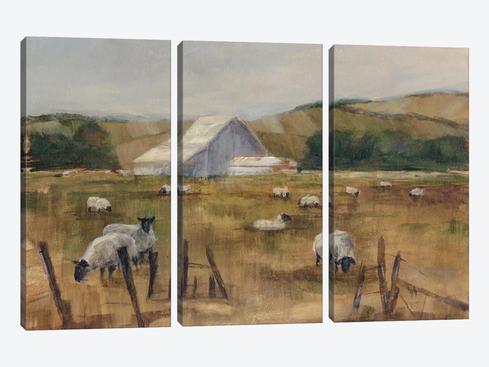 Grazing Sheep I by Ethan Harper 3-piece Canvas Artwork