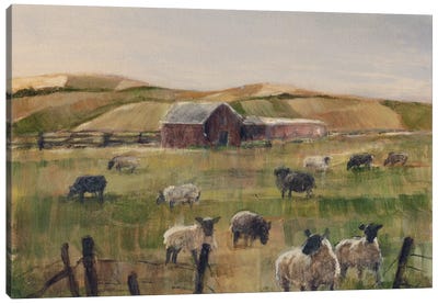 Grazing Sheep II Canvas Art Print - Country Décor