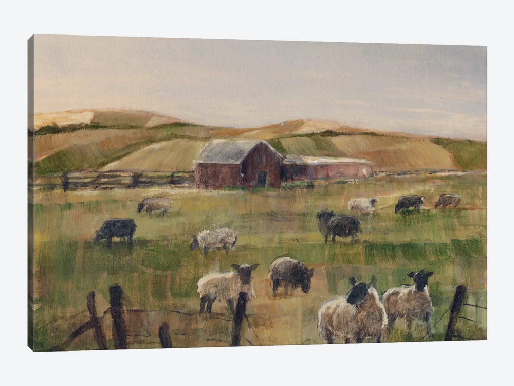 Grazing Sheep II by Ethan Harper 1-piece Canvas Art