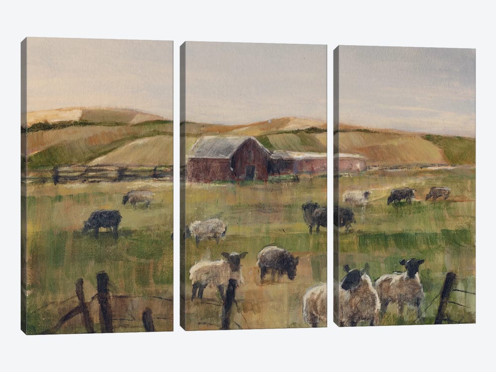 Grazing Sheep II by Ethan Harper 3-piece Canvas Art