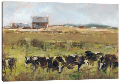 Out To Pasture I Canvas Art Print - Country
