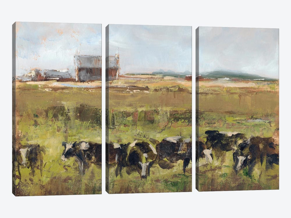 Out To Pasture I by Ethan Harper 3-piece Canvas Wall Art