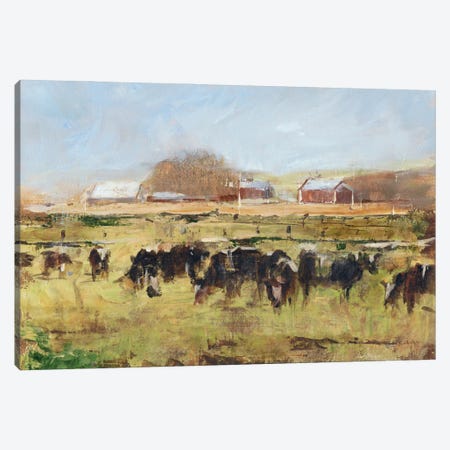 Out To Pasture II Canvas Print #EHA125} by Ethan Harper Canvas Art