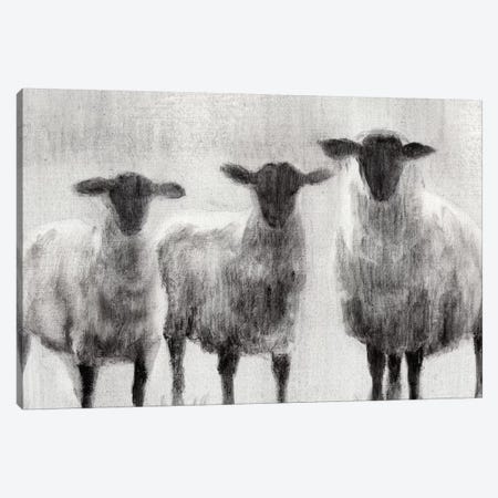 Rustic Sheep I Canvas Print #EHA134} by Ethan Harper Canvas Art Print