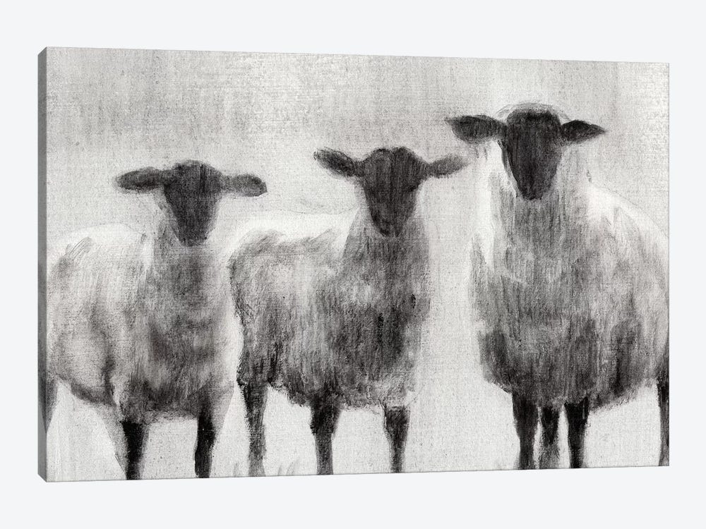 Rustic Sheep I by Ethan Harper 1-piece Canvas Print