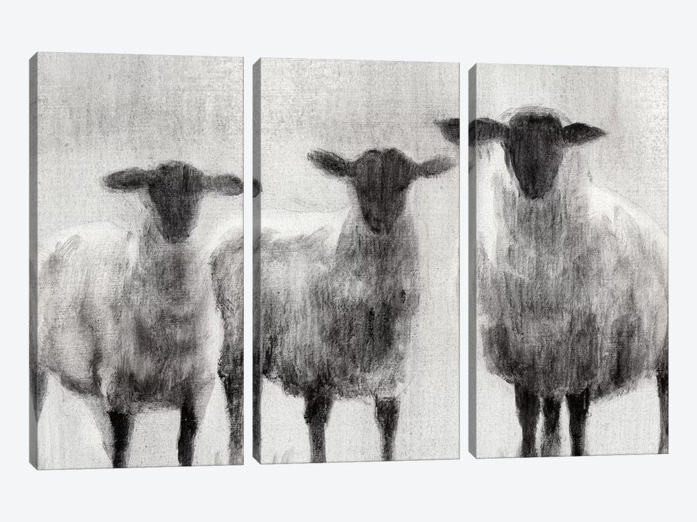 Rustic Sheep I by Ethan Harper 3-piece Art Print