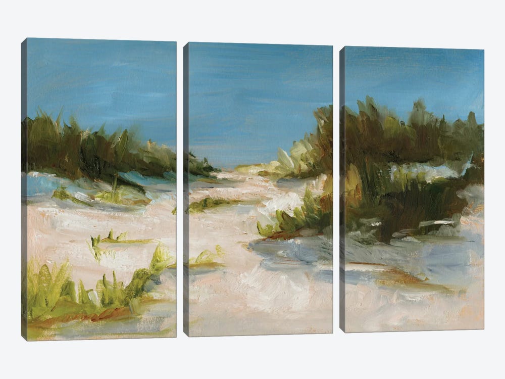 Summer Dunes I by Ethan Harper 3-piece Canvas Art