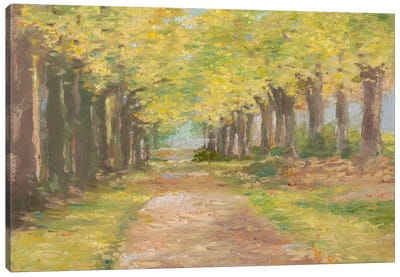 Fall Path III Canvas Art Print - Ethan Harper