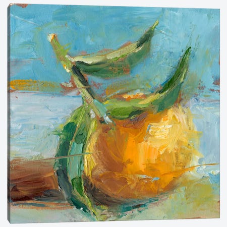 Impressionist Fruit Study III Canvas Print #EHA176} by Ethan Harper Canvas Art Print