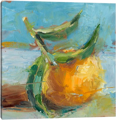 Impressionist Fruit Study III Canvas Art Print - Orange Art