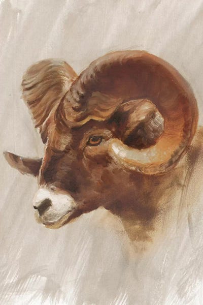 Rams: Western American Animal Study I by Ethan Harper