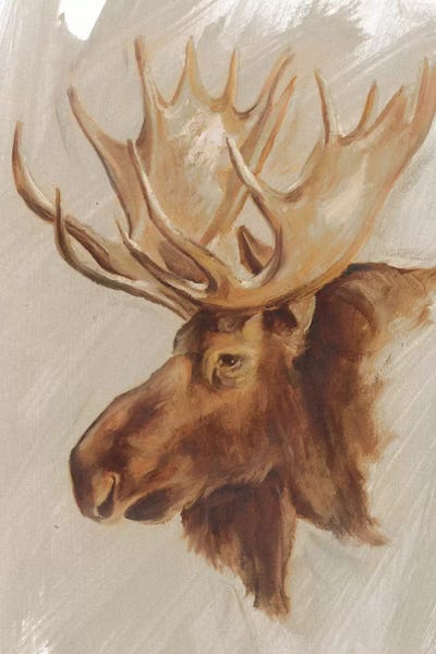 Deer: Western American Animal Study II by Ethan Harper