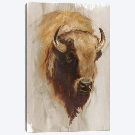 Western American Animal Study III Canvas Print #EHA188} by Ethan Harper Canvas Art Print