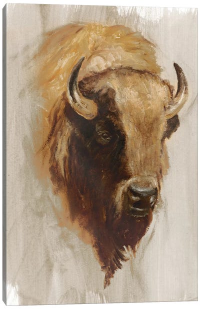 Western American Animal Study III Canvas Art Print - Bison & Buffalo Art