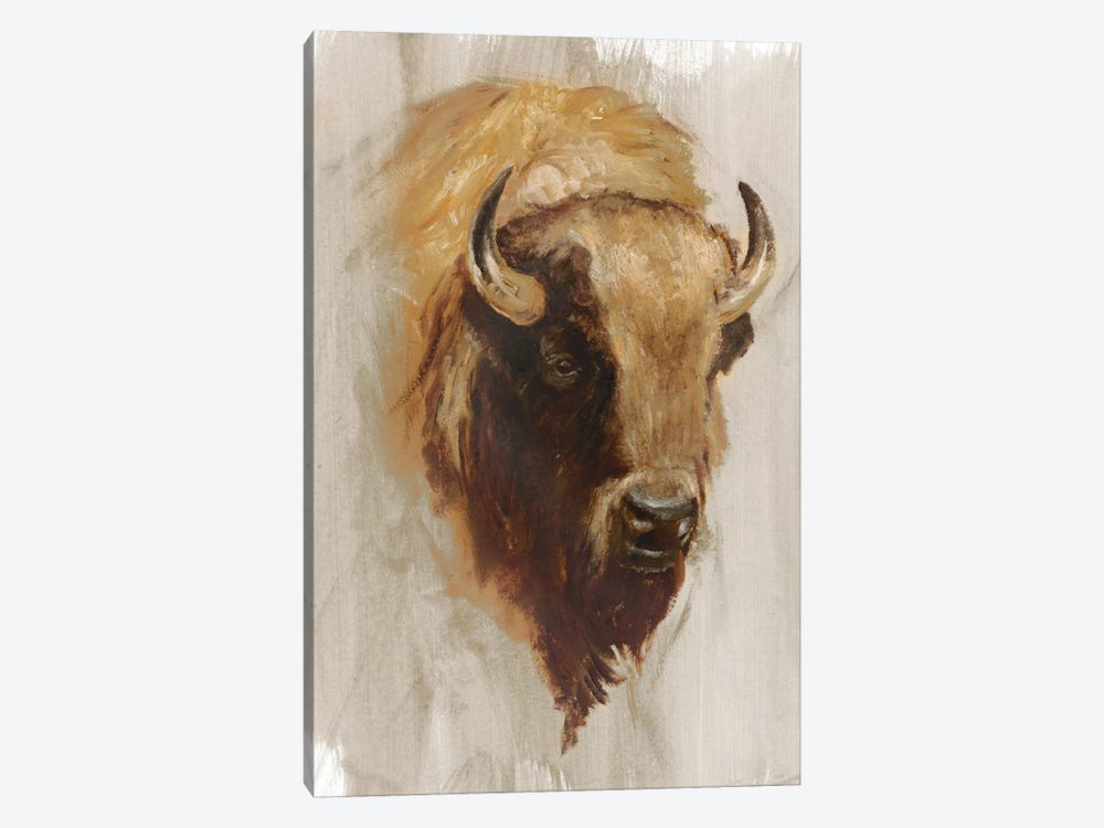 Western American Animal Study III by Ethan Harper 1-piece Canvas Wall Art