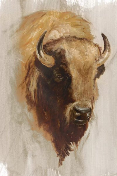 Bison & Buffaloes: Western American Animal Study III by Ethan Harper