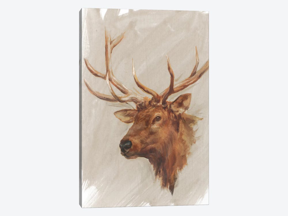 Western American Animal Study IV by Ethan Harper 1-piece Canvas Print