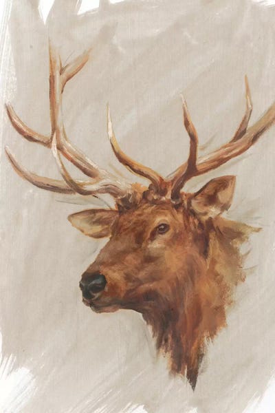 Deer: Western American Animal Study IV by Ethan Harper