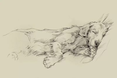 Kids Animal Art